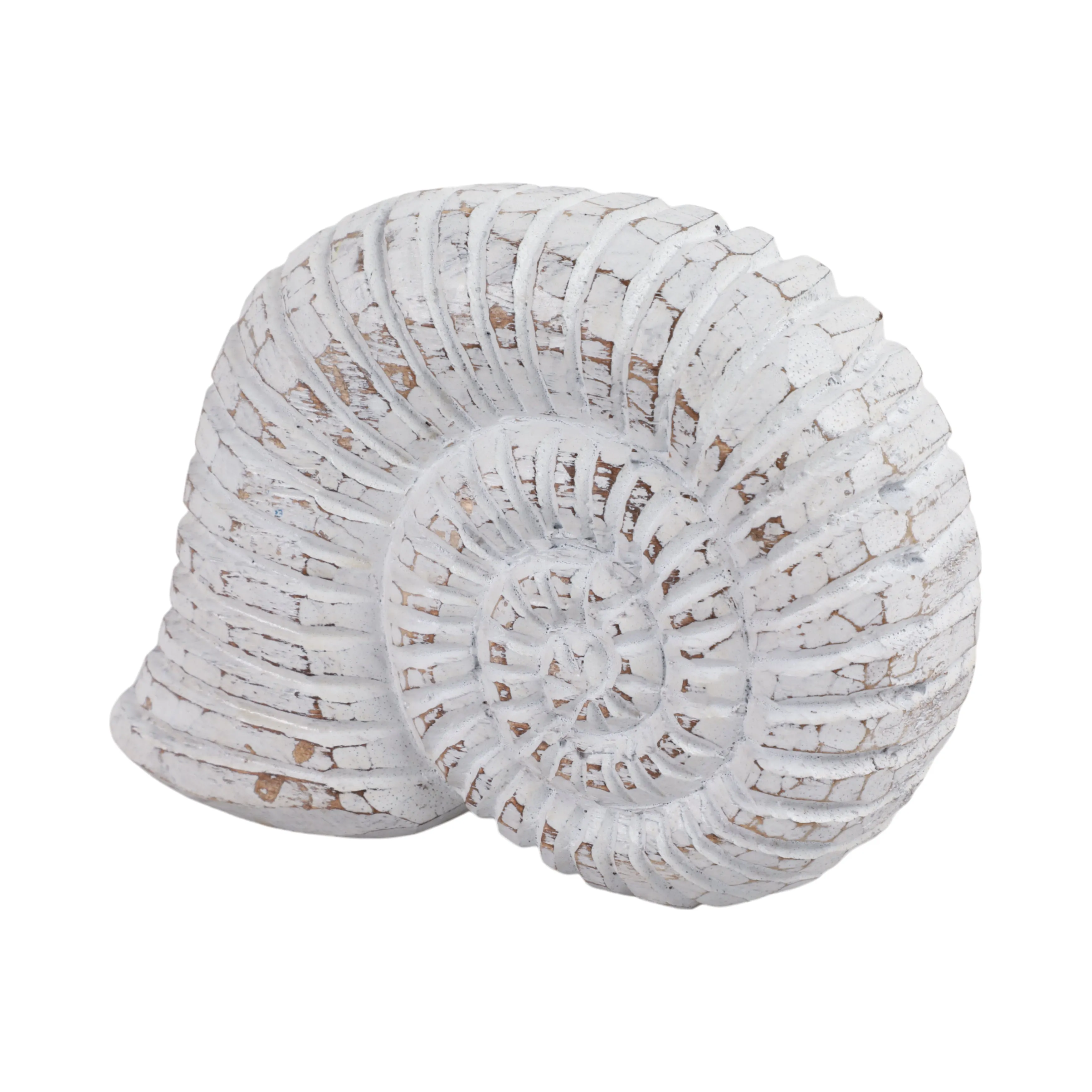 10" Wooden Snail Decor, Wht