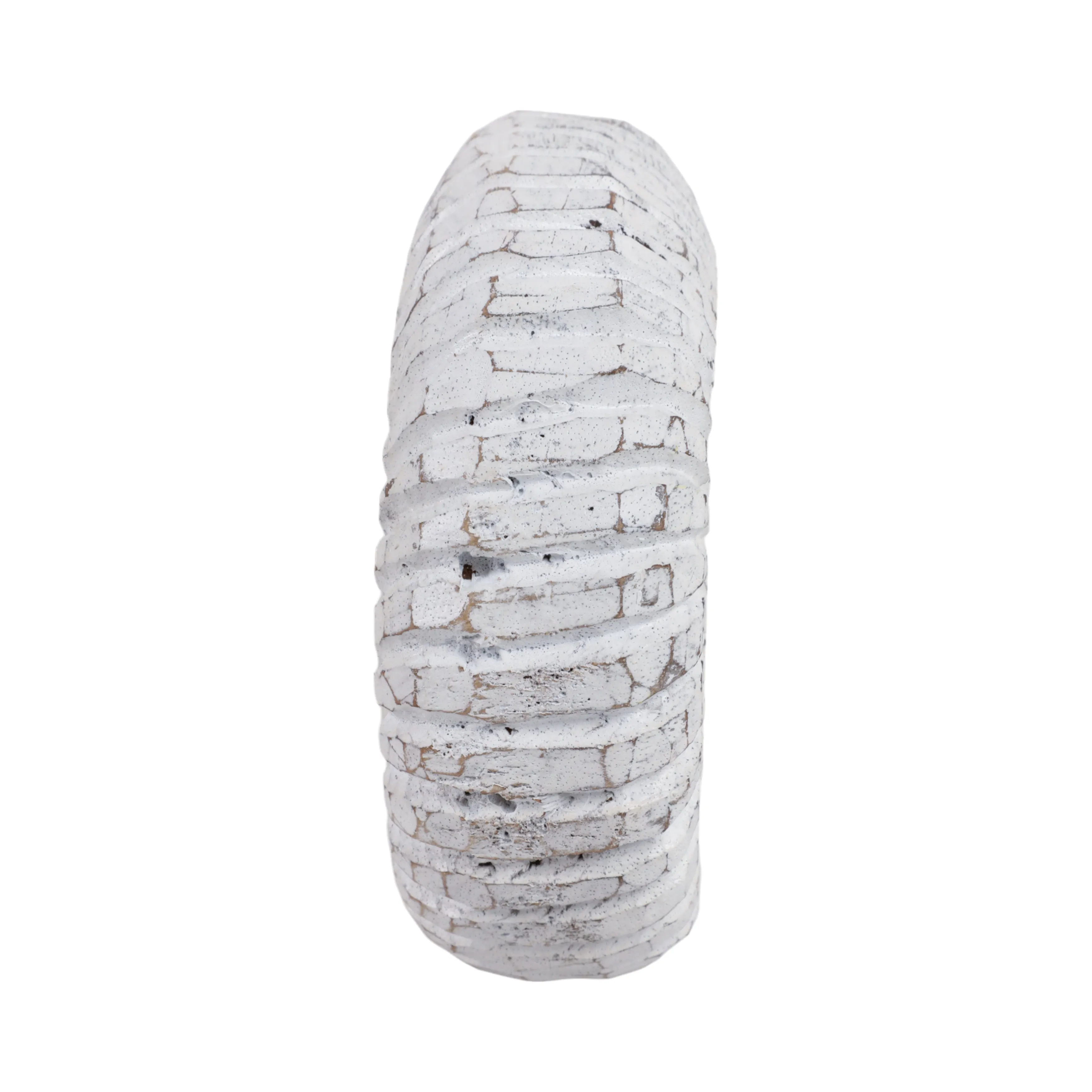 10" Wooden Snail Decor, Wht