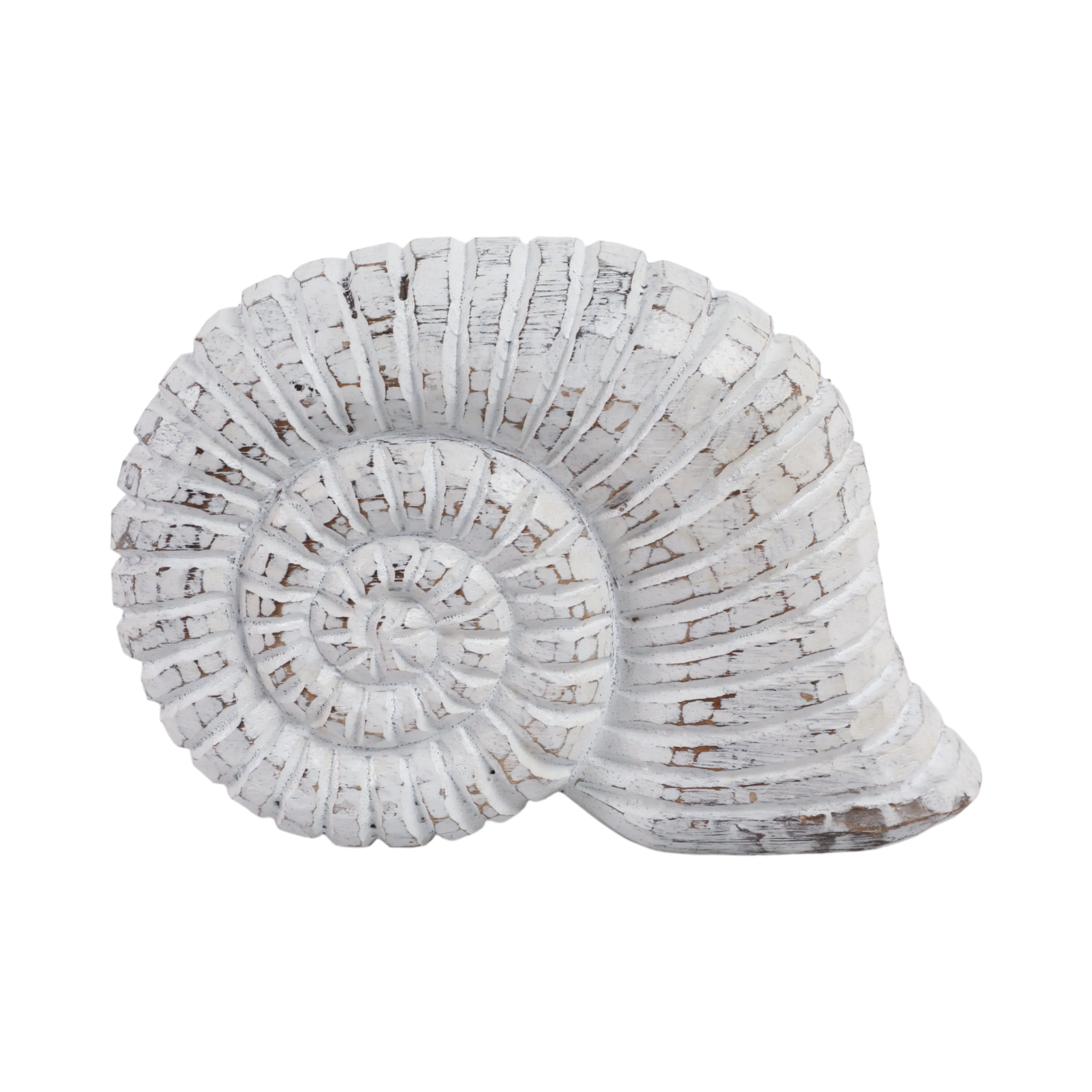 10" Wooden Snail Decor, Wht