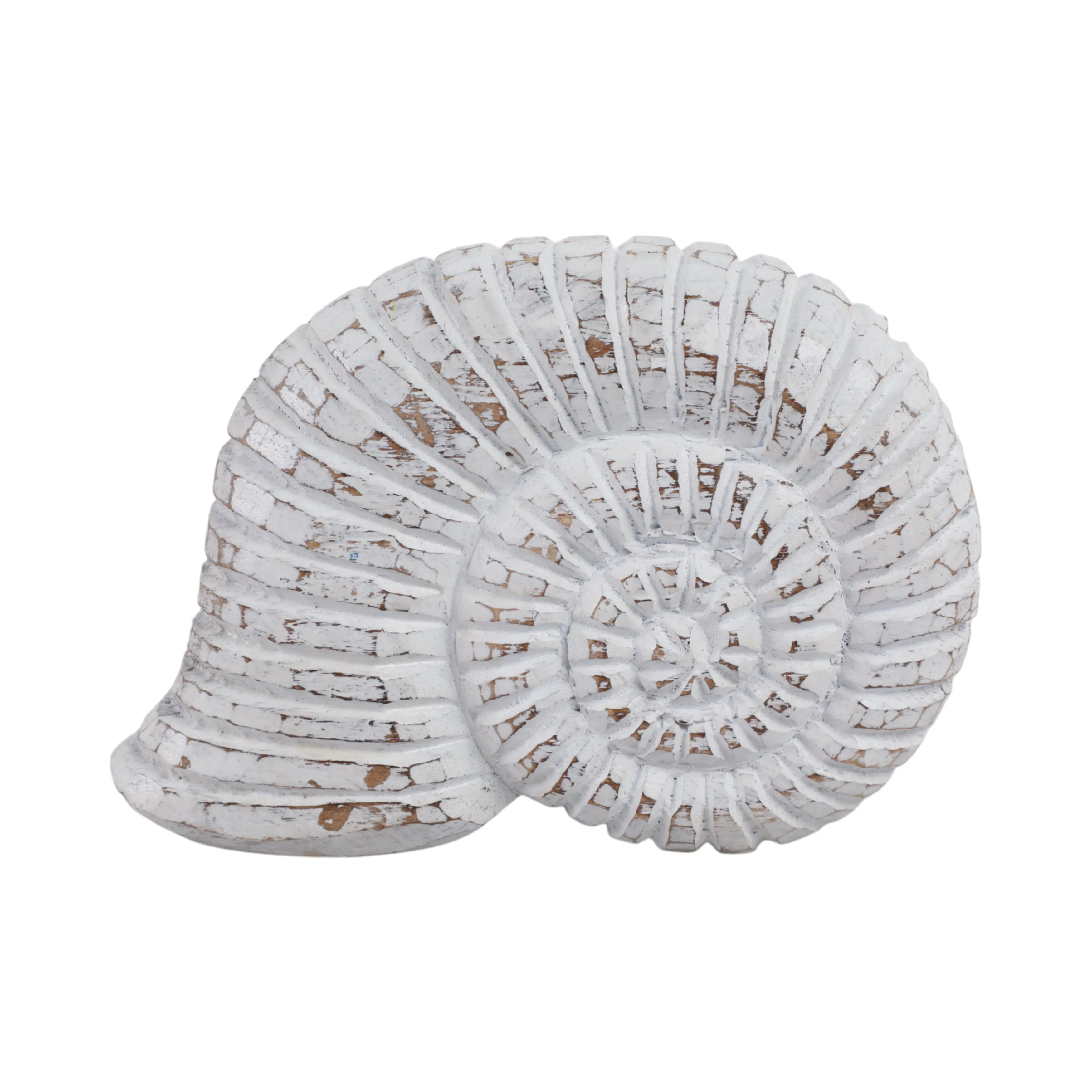 10" Wooden Snail Decor, Wht