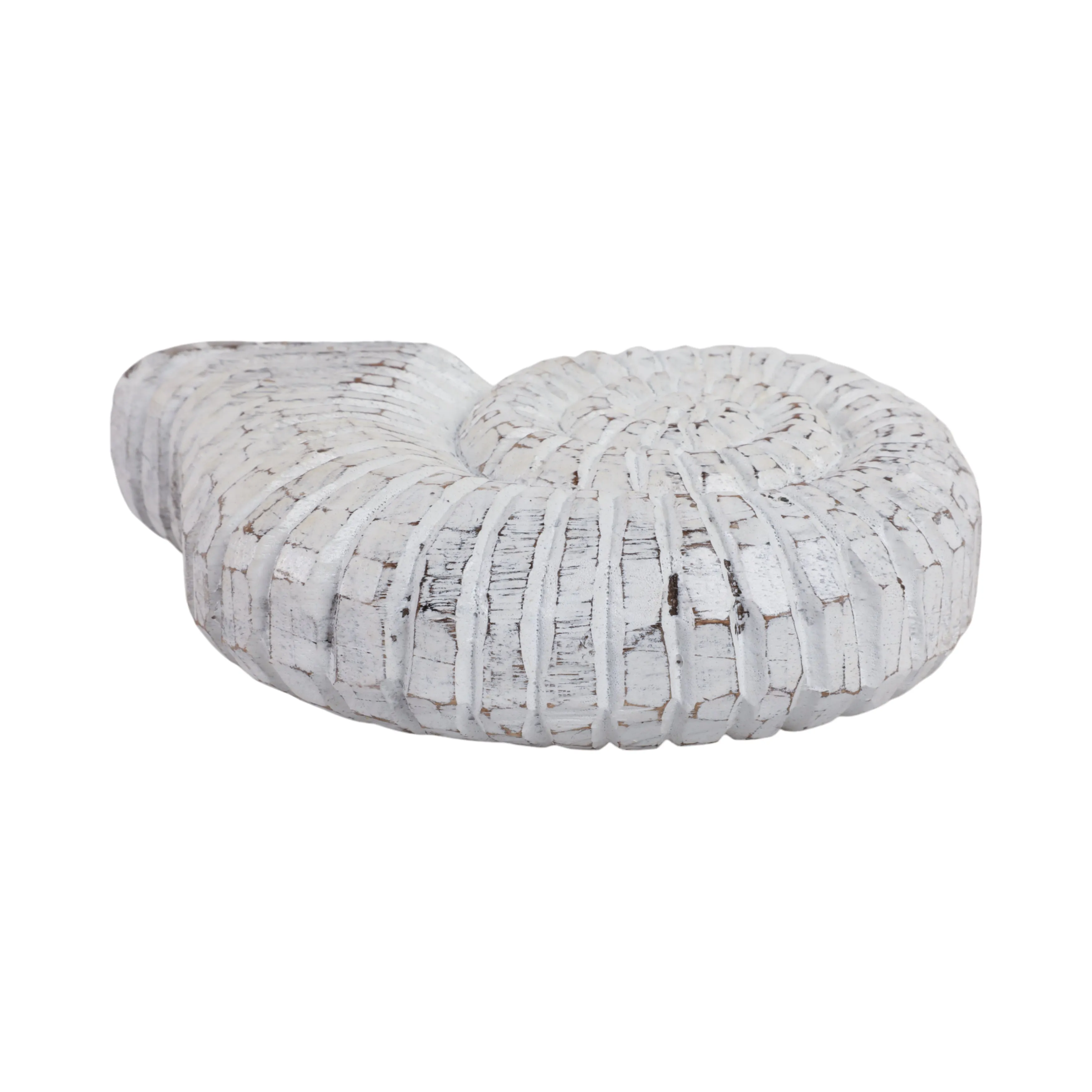10" Wooden Snail Decor, Wht