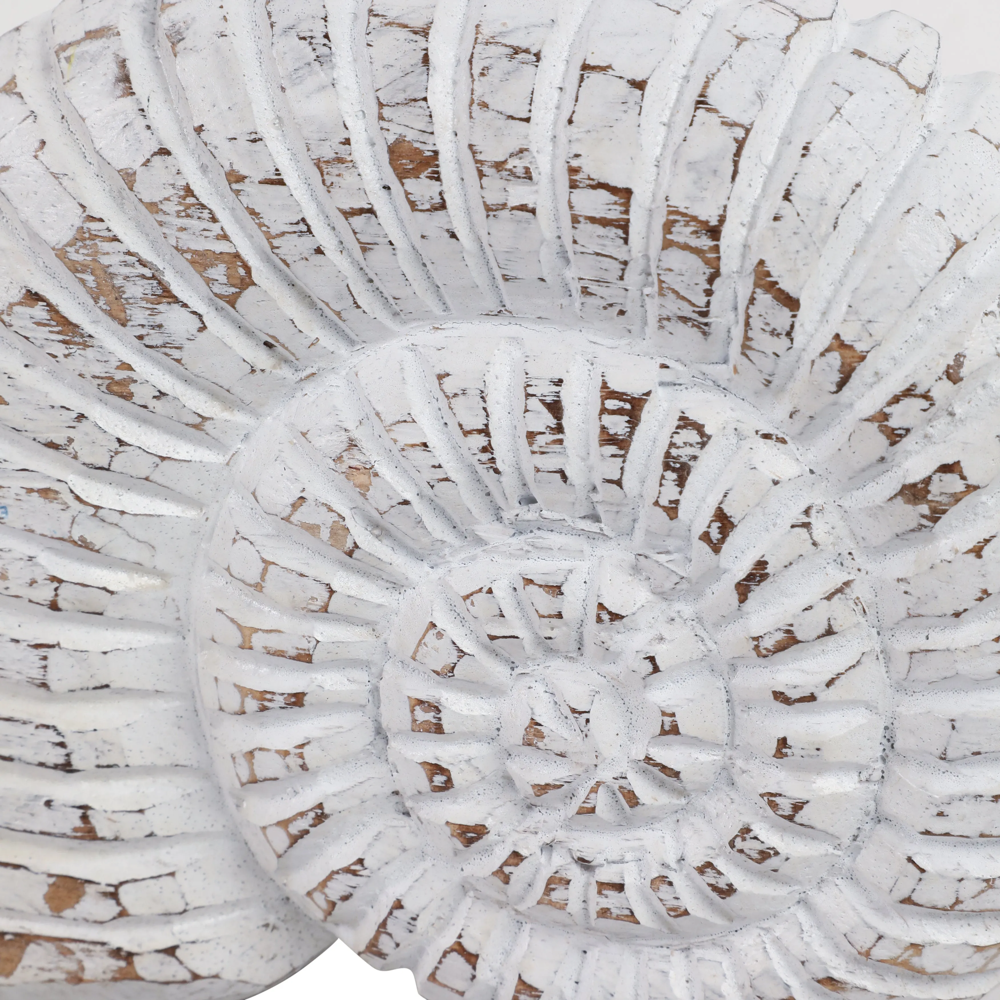 10" Wooden Snail Decor, Wht