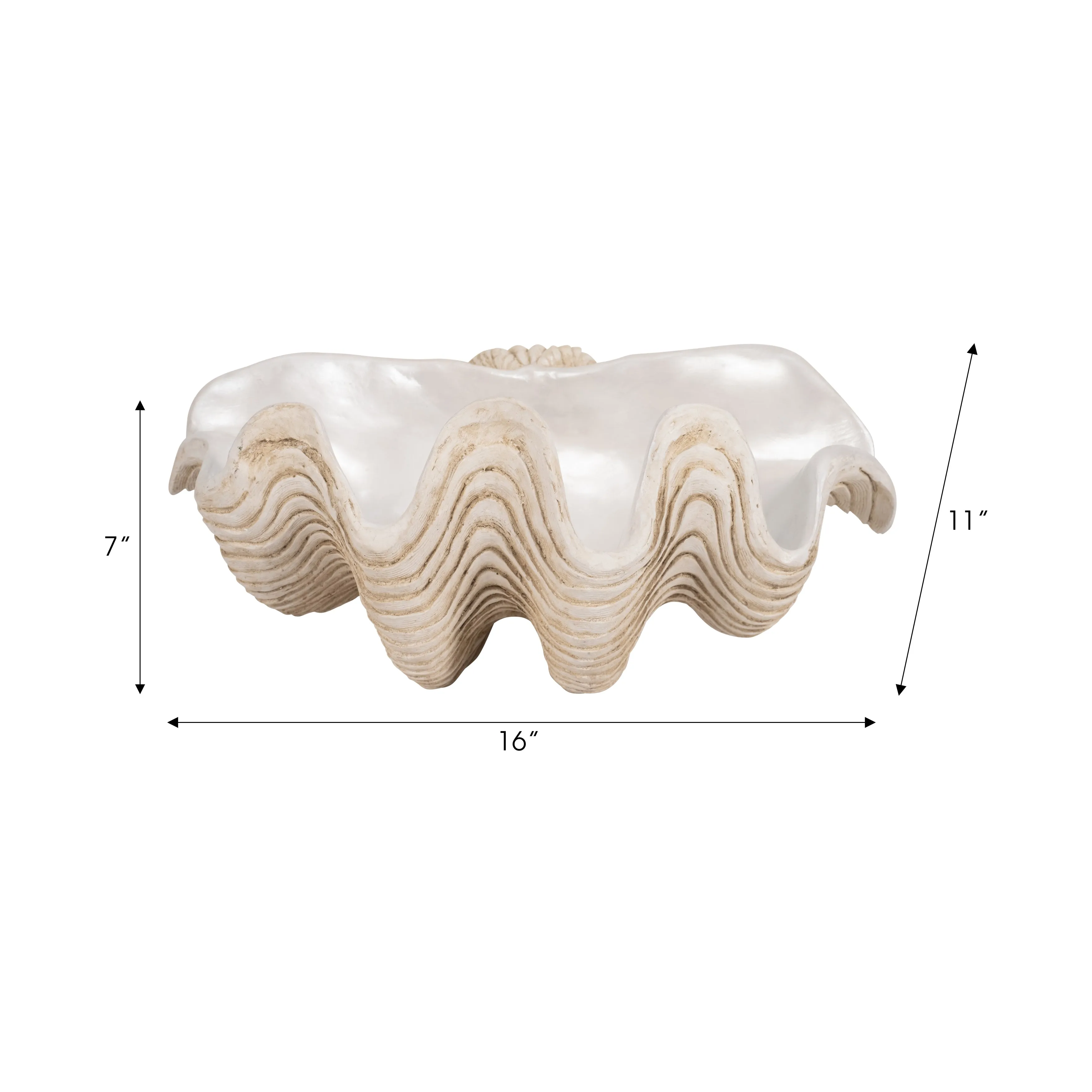 16" Pearlized Clam Shell Bowl, Ivory