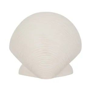 6" Seashell Decor, White