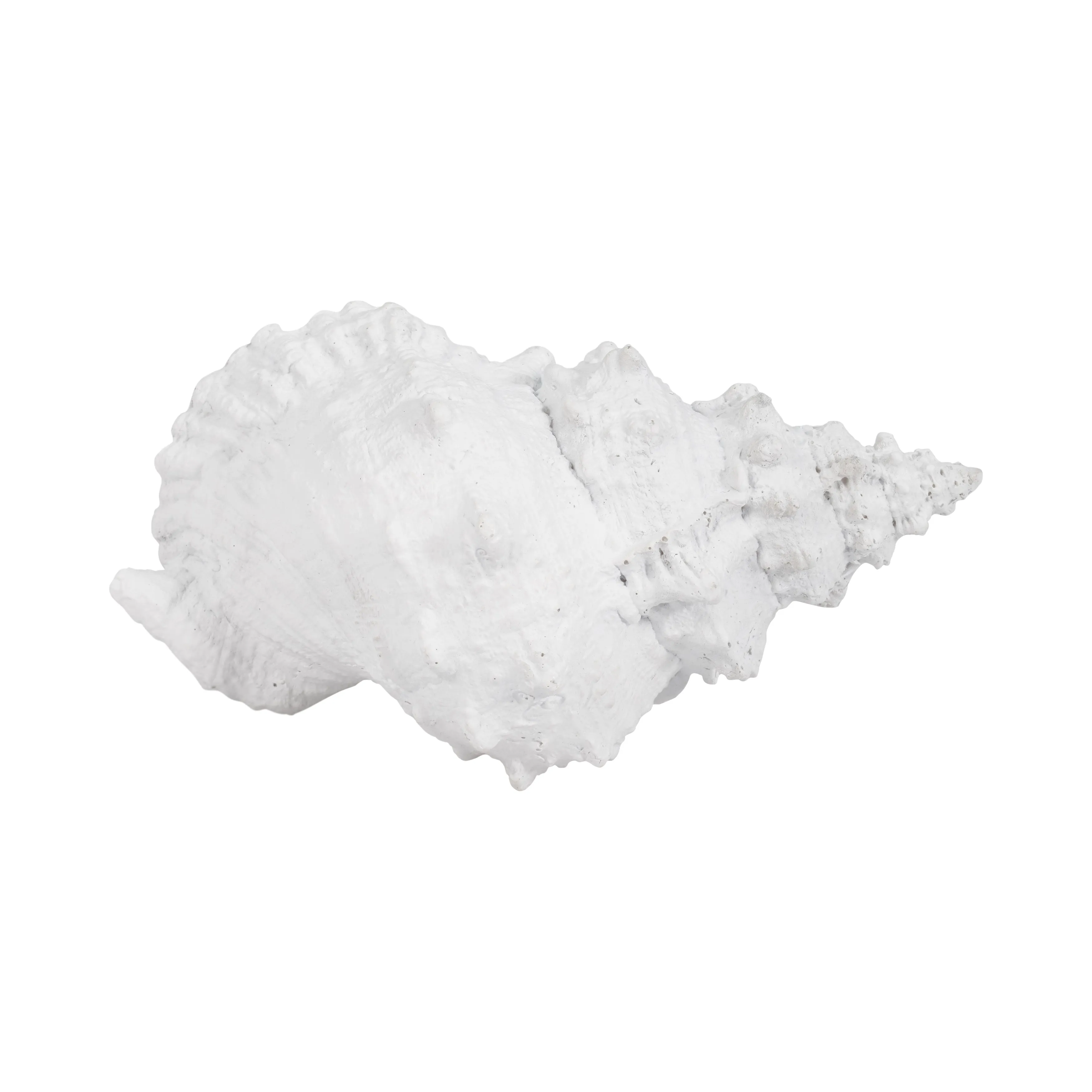 9" Conch Shell, White