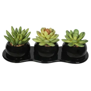 Artificial Potted Succulent Plants 9CM Indoor