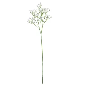 Baby's Breath White