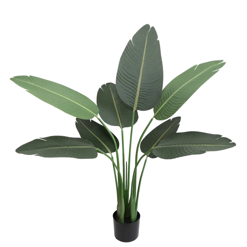 Banana Tree