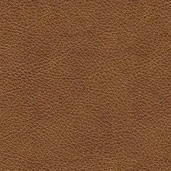 Carianna Sofa