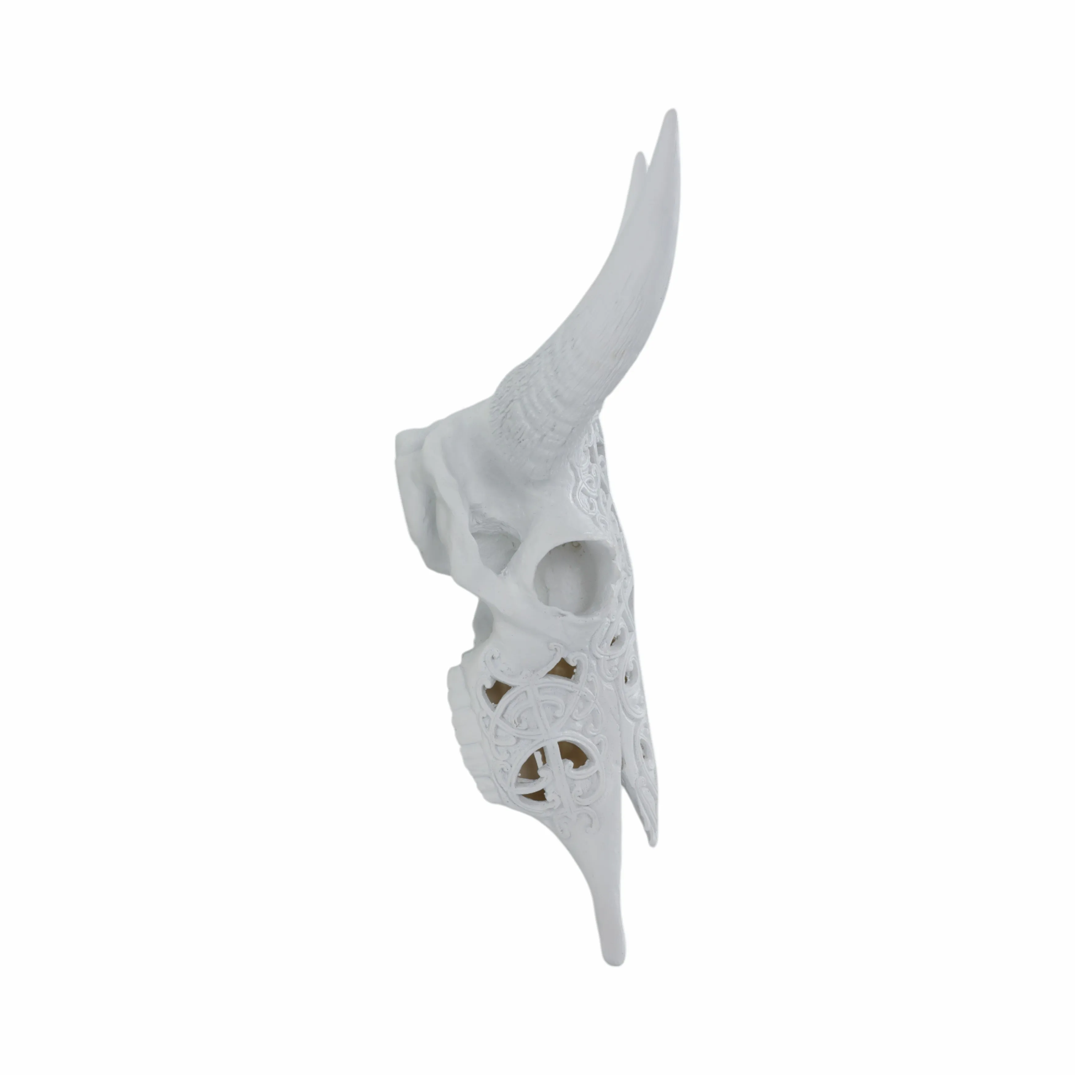 Carved White Bull Skull 17.75" Kd