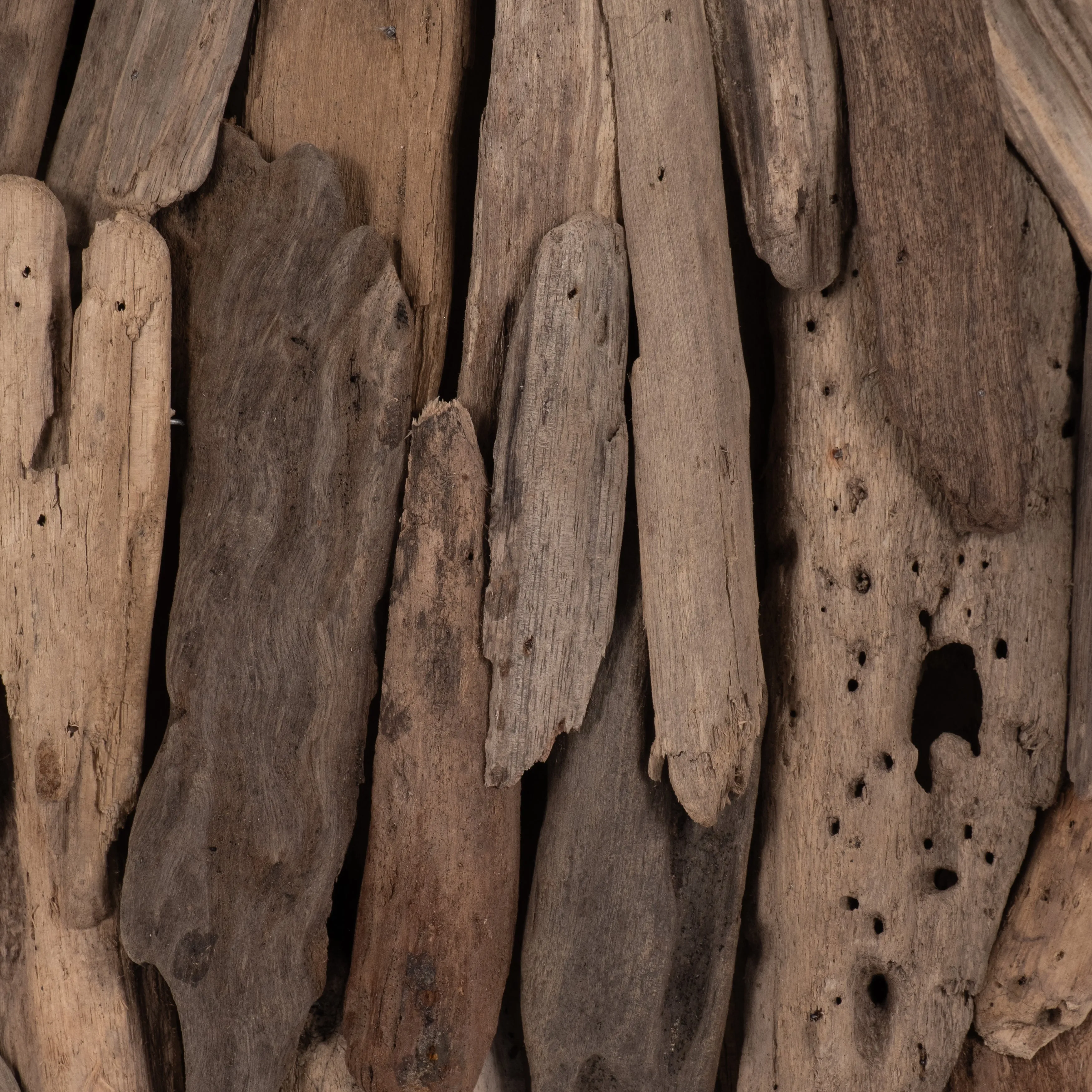 DRIFTWOOD, 22"H TURTLE DECO, NATURAL