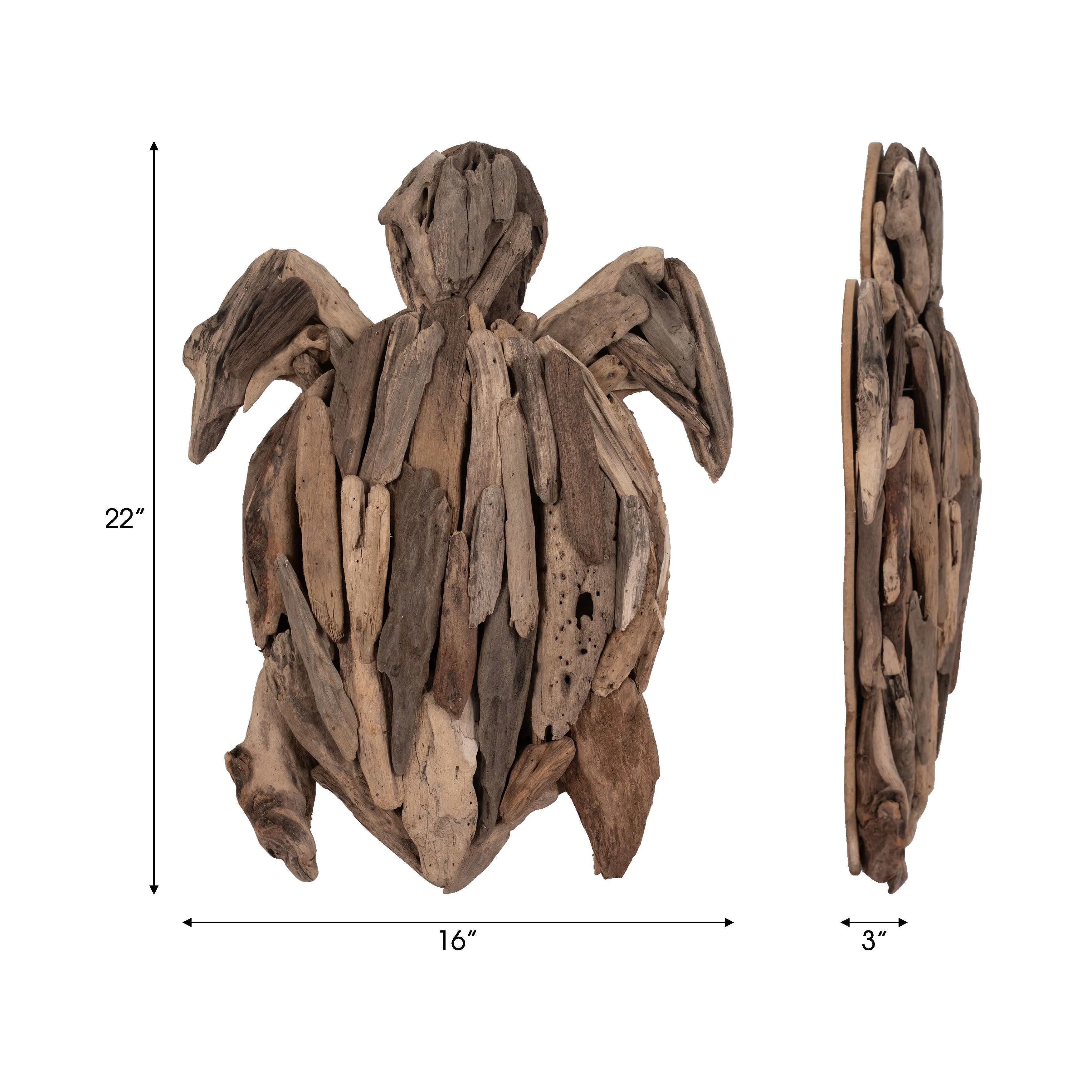 DRIFTWOOD, 22"H TURTLE DECO, NATURAL