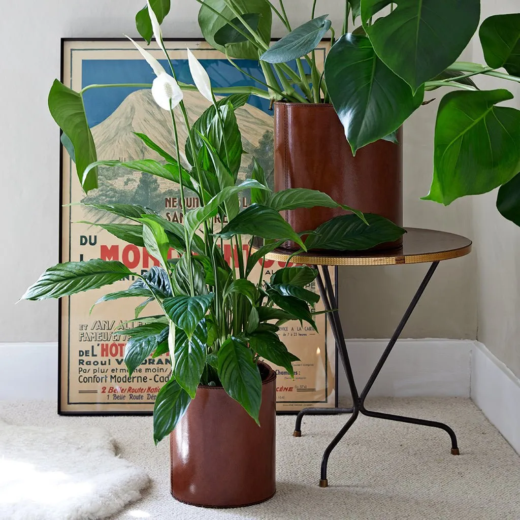 Home Lifeofriley Leather Plant Holder - Two Sizes
