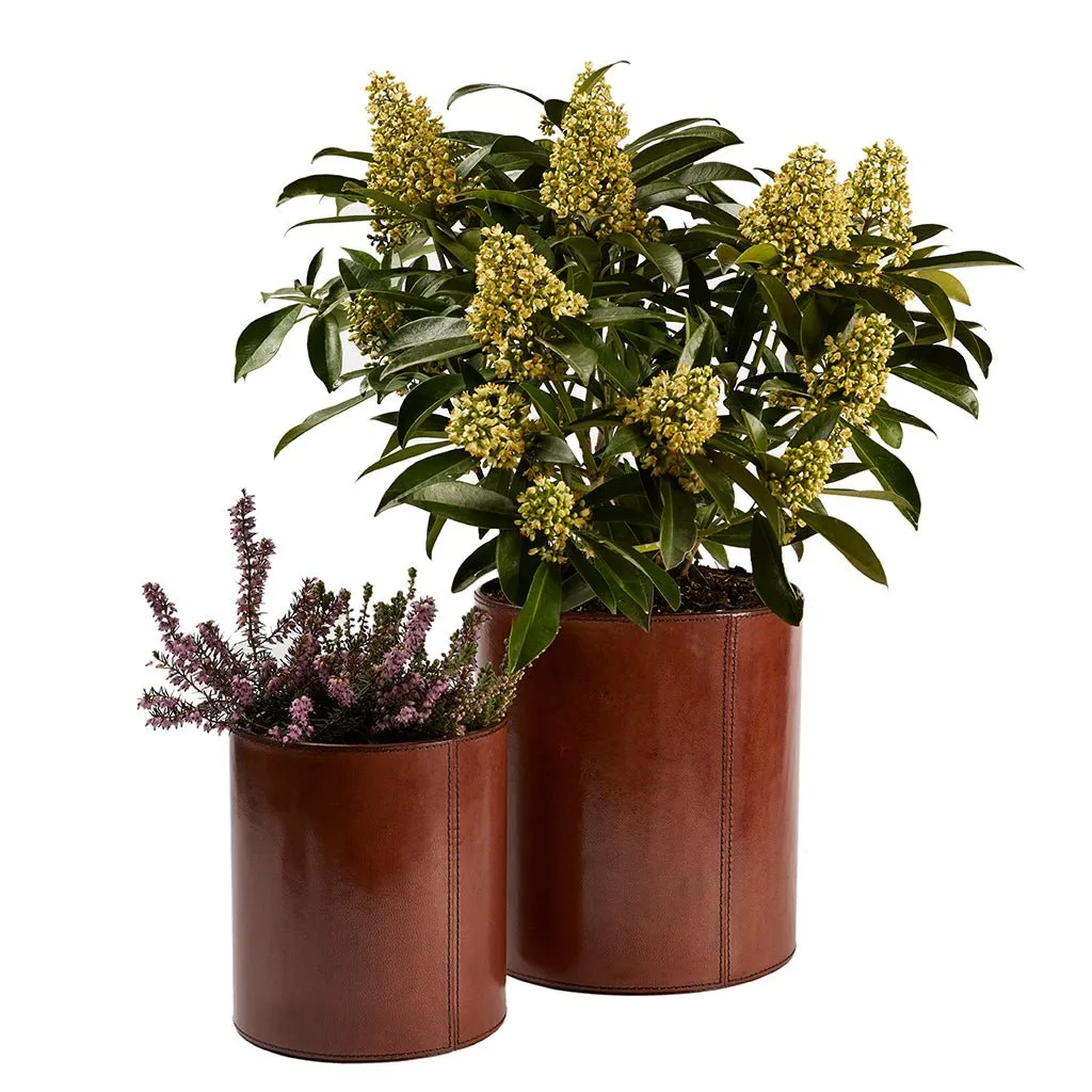 Home Lifeofriley Leather Plant Holder - Two Sizes