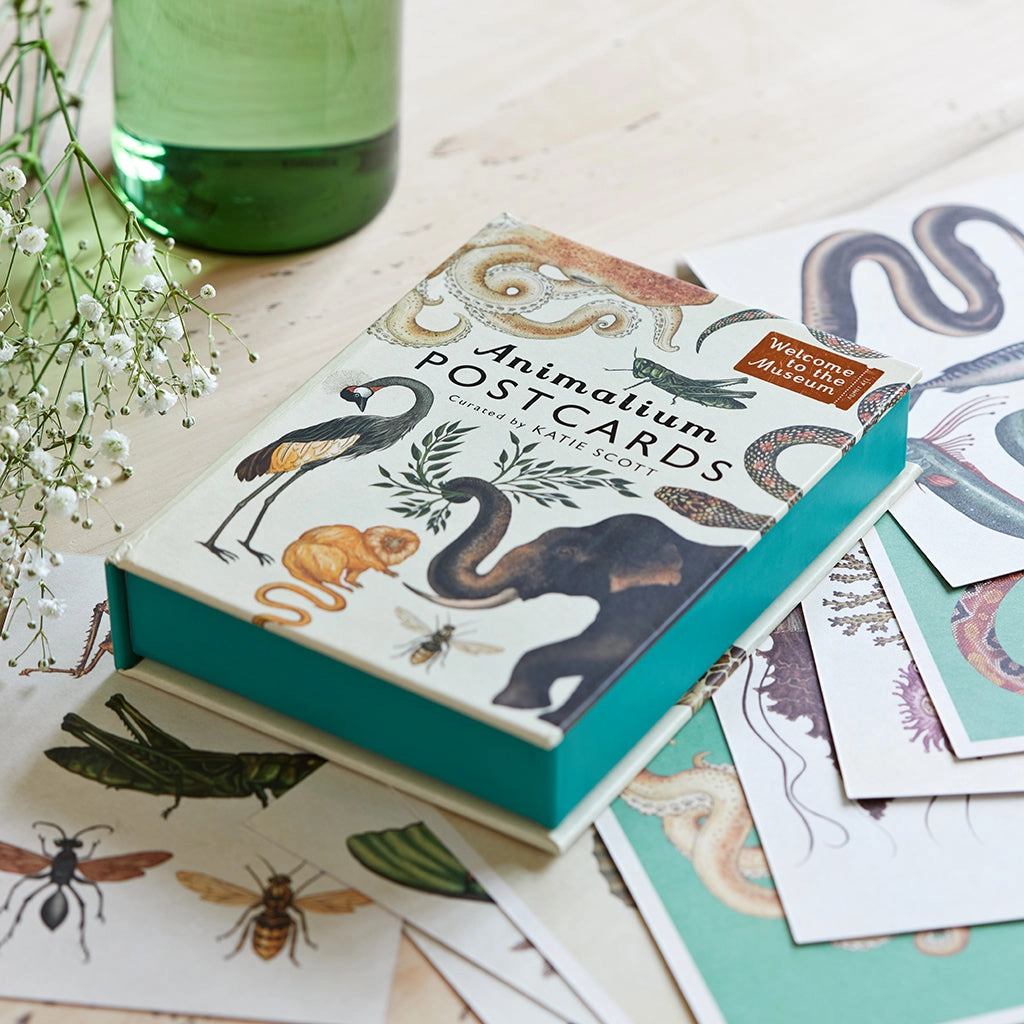 Home Life of Riley Animalium Postcards Collection