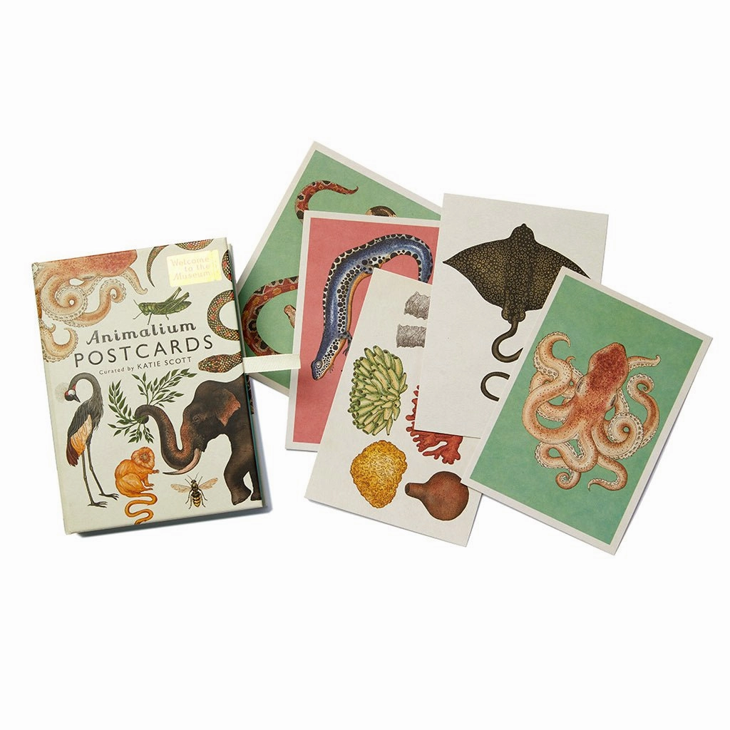 Home Life of Riley Animalium Postcards Collection