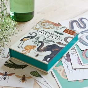 Home Life of Riley Animalium Postcards Collection
