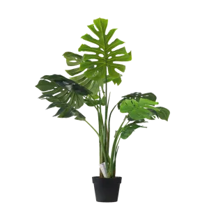Monstera - 110cm