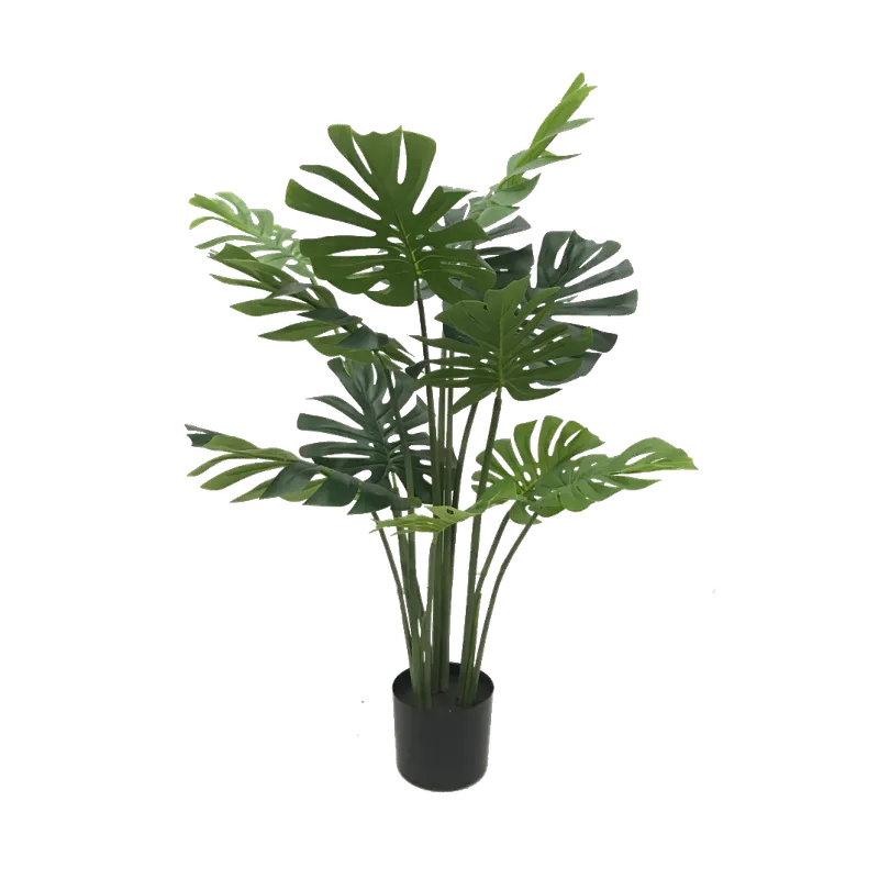Monstera-H120cm