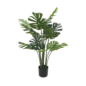 Monstera-H120cm
