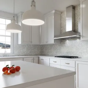 Xo Appliance XOB24SC 24" 600/395 Cfm Italian Made Wall Mount Chimney Range Hood Stainless