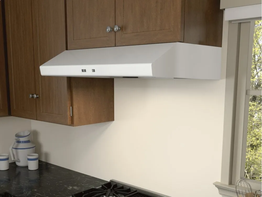 Zephyr AK6542BS 42" Cyclone Under-Cabinet