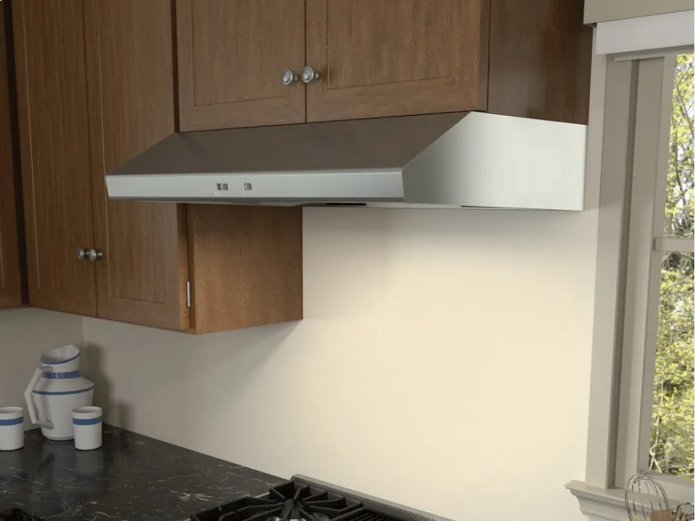 Zephyr AK6542BS 42" Cyclone Under-Cabinet
