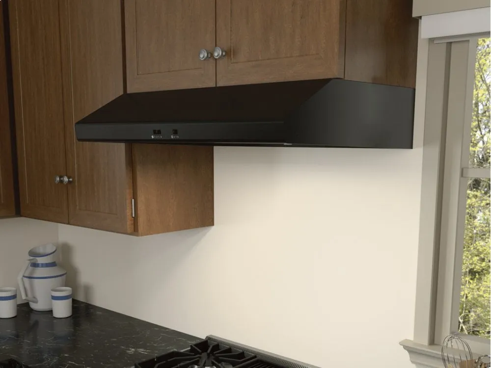 Zephyr AK6542BS 42" Cyclone Under-Cabinet